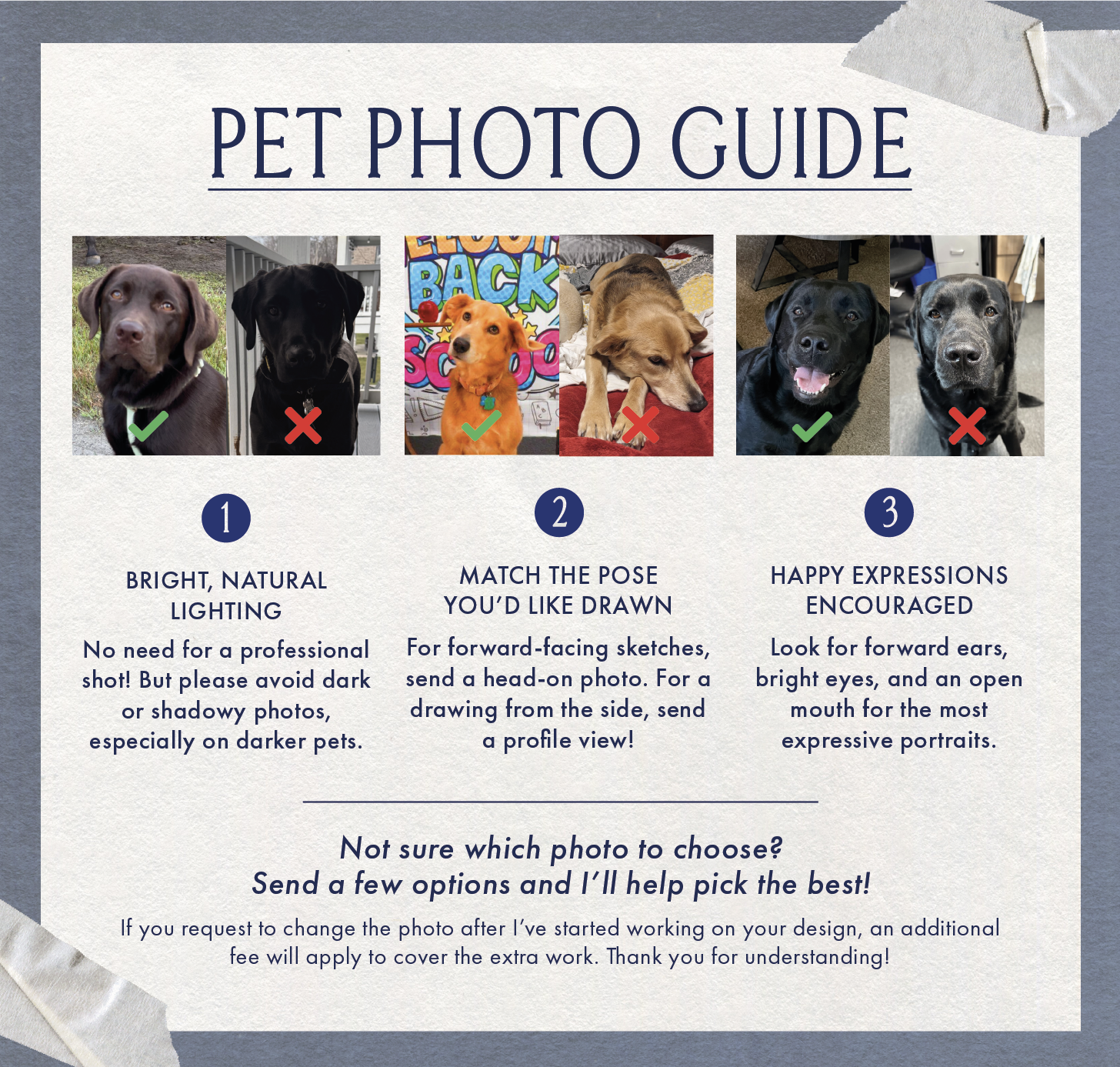 visual guide for providing strong pet reference photos